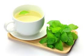 Tisana De Menta